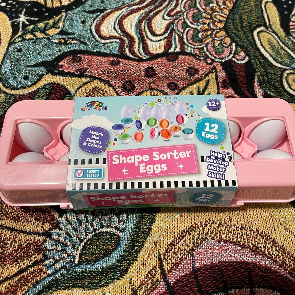 Shape sorter eggs toy